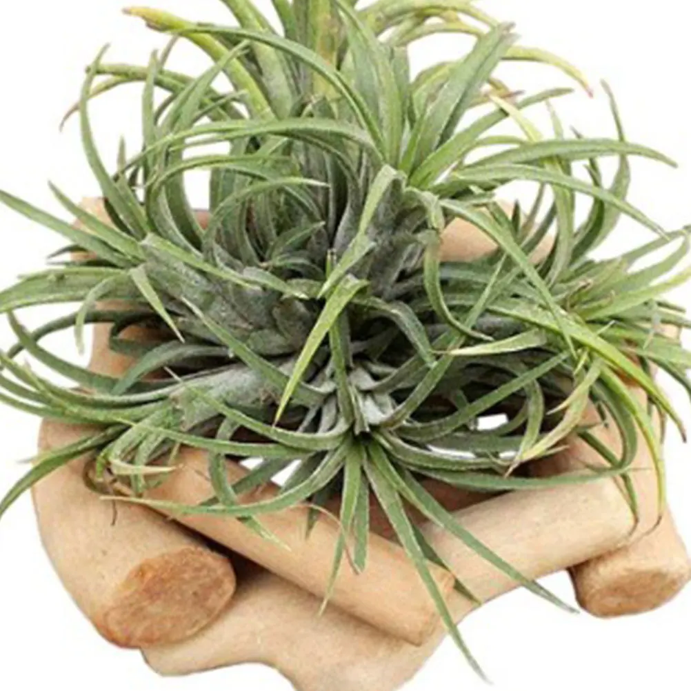 

Handmade Wooden Flowerpot Air Pineapple Display Rack Thick Wood Plants Holder Candlestick Bracket for Home Office Desk