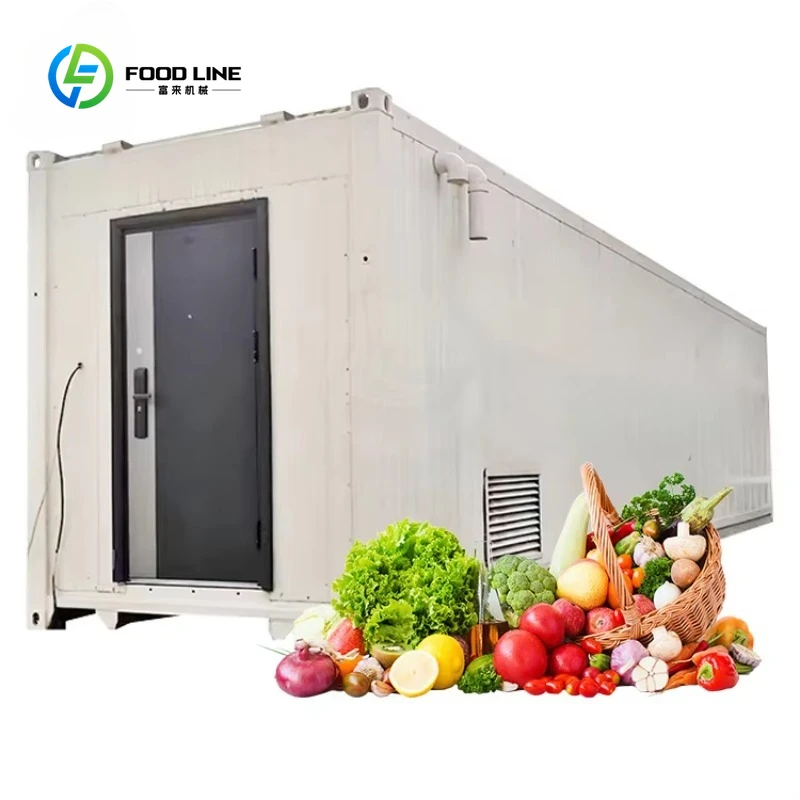Customized Commercial Low Energy Hydroponic Container Farm Vertical Grow Room For Vegetables