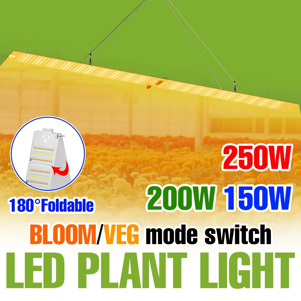 250w-led屋内植物育成ライト-フルスペクトル量子ボード成長ランプ-室内水耕栽培温室テント栽培補助照明