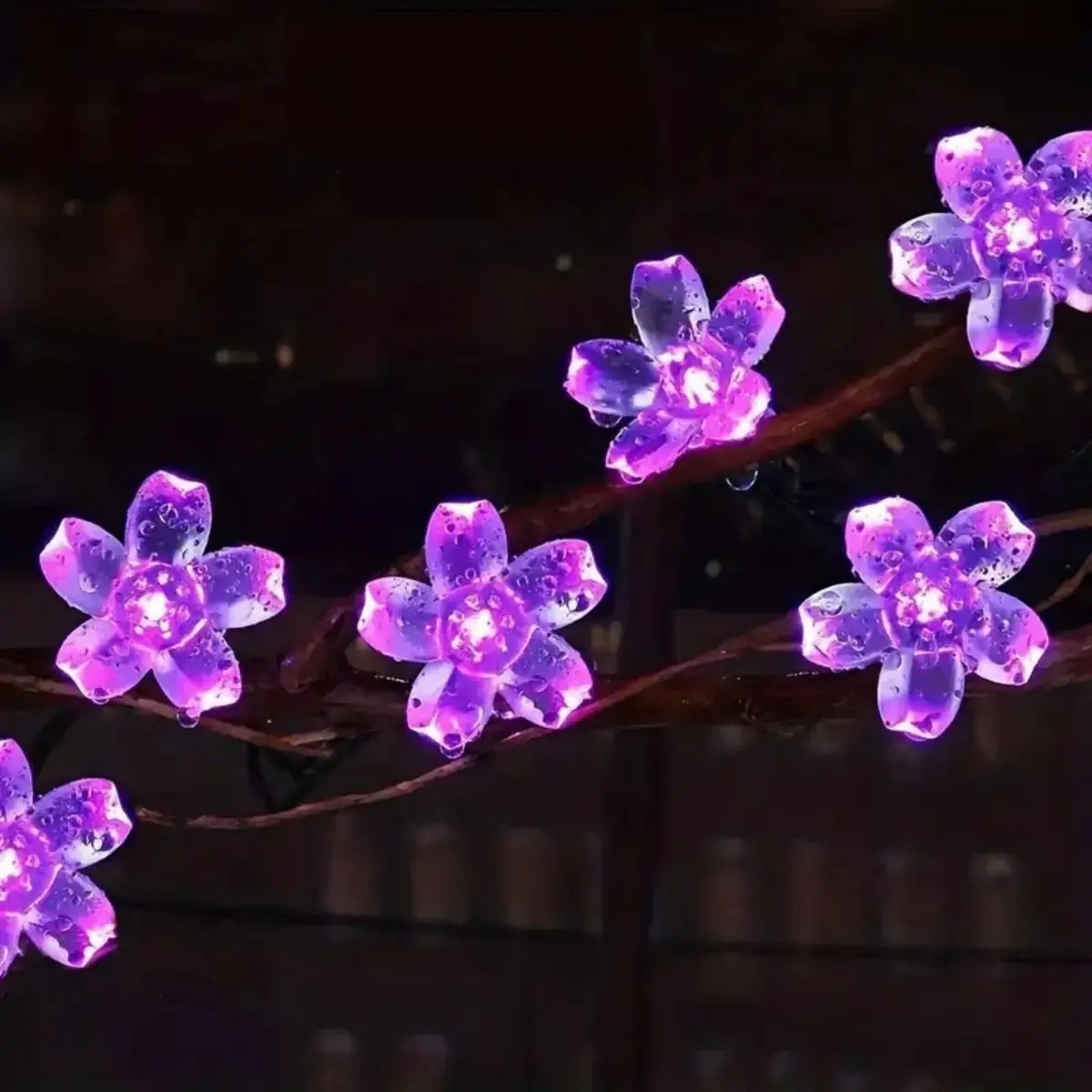 1Set, Solar Cherry … - image