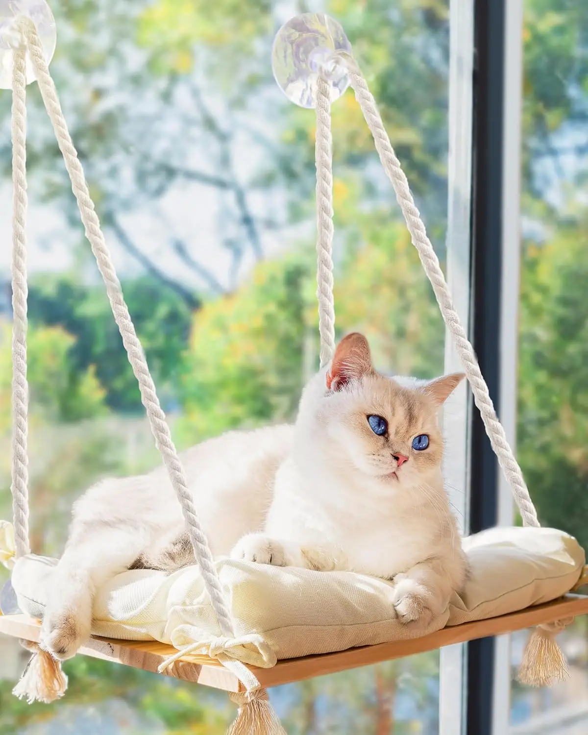 Cat Window Perch Wi…