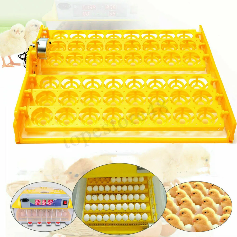 Automatic Egg Incubator 220V 56-Egg Turner Tray for Hatching Chicken Duck Goose Birds Incubator Brooder Poultry Hatch Incubator