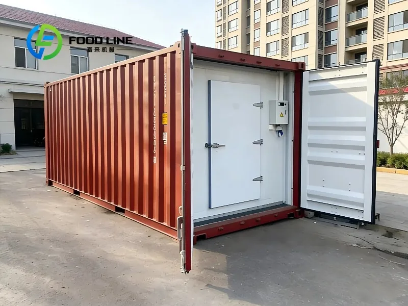 High Quality 20ft Cold Room Container Kit with Walking Freezer Unit Reefer Container for Meat Storage Commercial Industrial Use