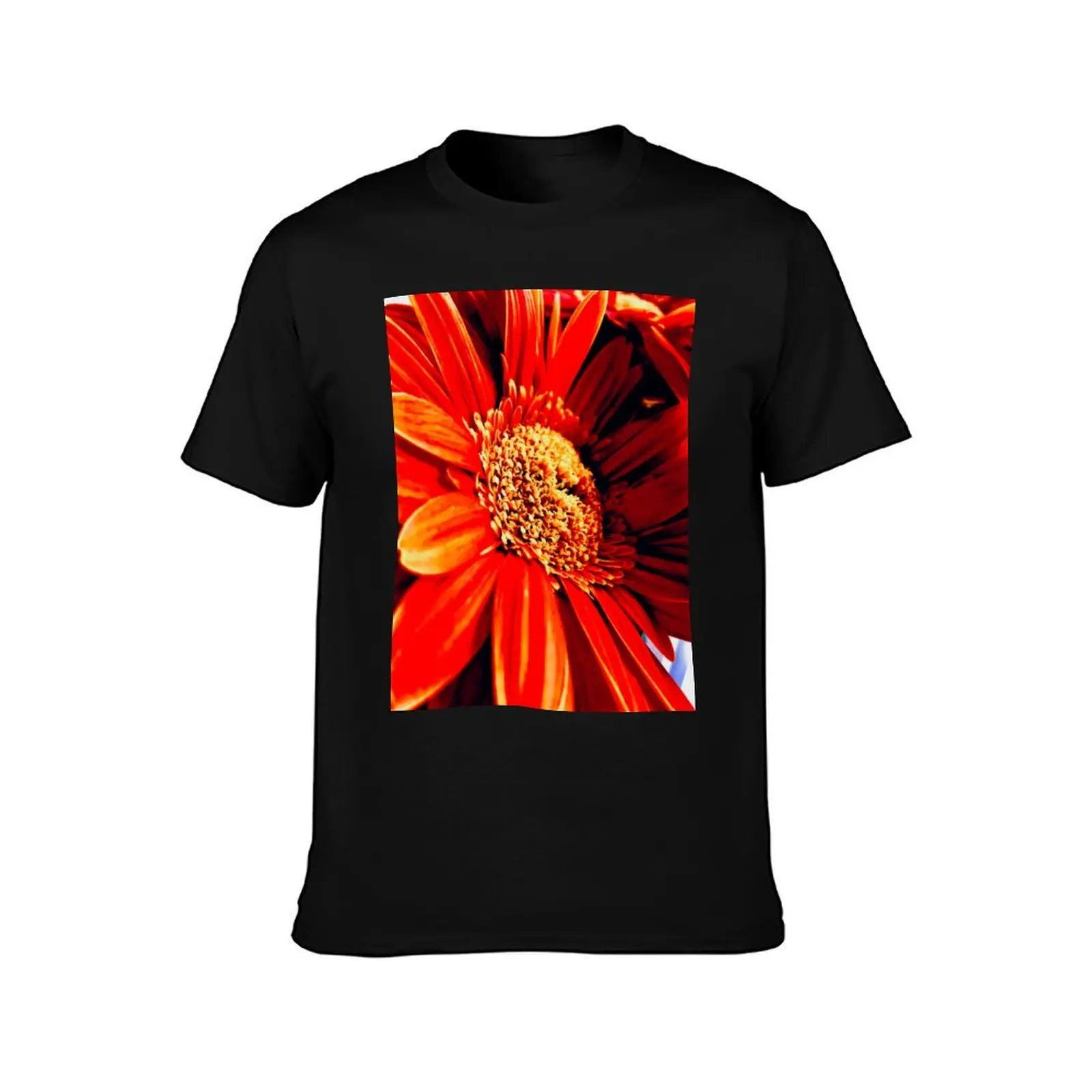 Orange Gerbera T-Shirt Basic Short Sleeve for Men T-Shirt