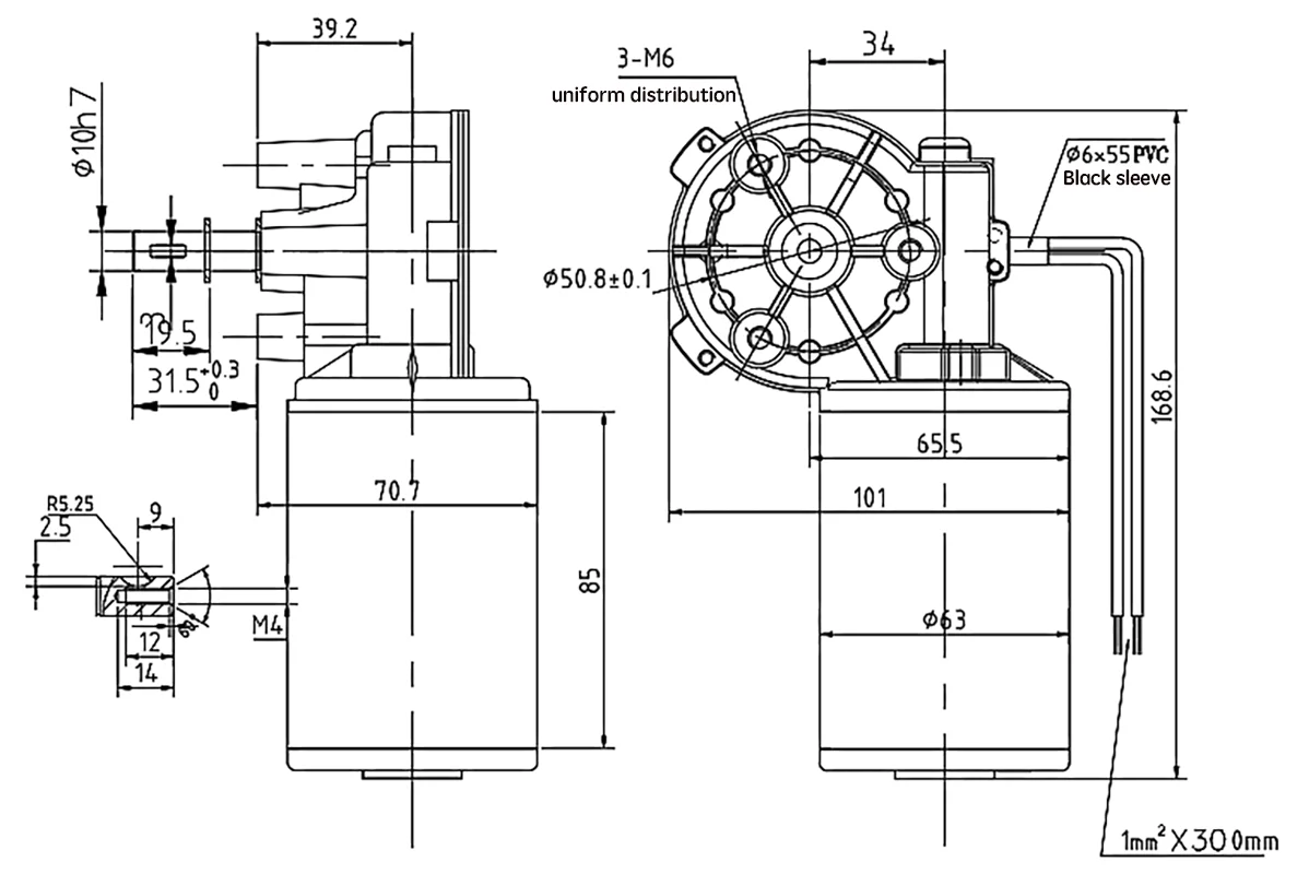 Imagem -06 - Motor de Desaceleração de Direção Direita D63 Motor dc de Desaceleração com Engrenagem Sem-fim Motor de Portão Rolante de Garagem Porta de Portão Deslizante 12v 24v