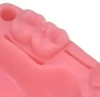 

2Pcs/set Dental Oral Gum Suture Training Module Silicone Periodontitis Suture Demonstrating Dental Materials