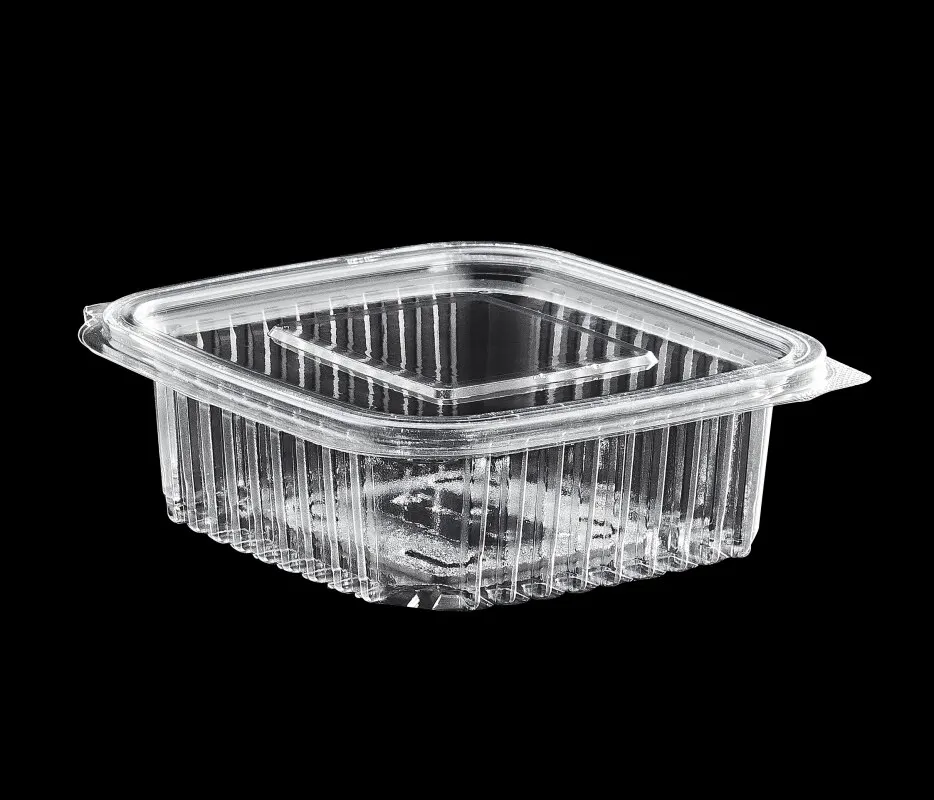 100 PCS Transparent Plastic Leakproof Hinged Flat Lid Food Container Box Kitchen Cafe Restaurant Product Disposable All Sizes