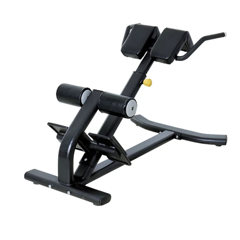 

High Quality Fitness Equipment Roman Chair Reverse Hyper Extension Lower Back Exercise Benches 45 Degree Back Extension