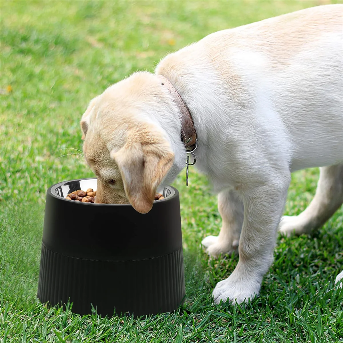 Elevated Dog Bowl, Raised Dog Feeder with Removable Stainless Steel Food and Water Bowl, Non-Skid Dog Dish Black