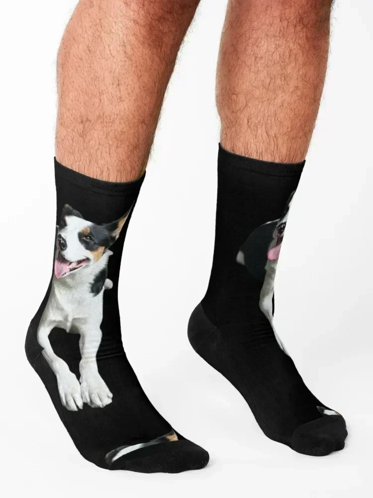 Vinnie One Super Model Socks shoes designer Climbing funny gifts Women's Socks Men's