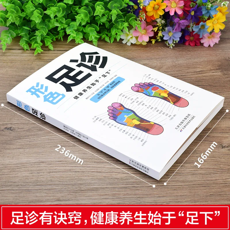 Color Illustrated Foot Diagnosis & Three-Minute Hand Therapy Books for Holistic Health Acupoint Massage Therapy for Diseases