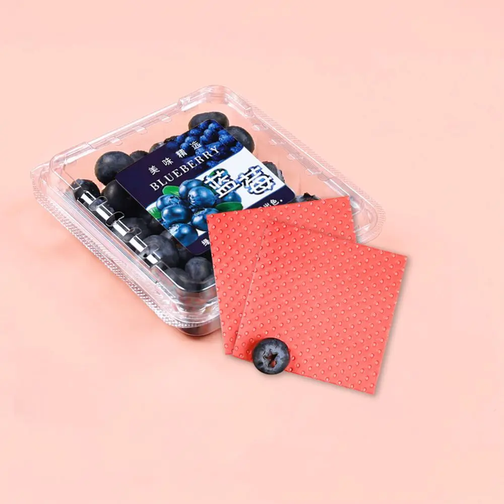 Transparent Plastic Fruit Case Disposable Berry Packaging Box Fresh Food Container Retail Display Storage Holder For Orchard