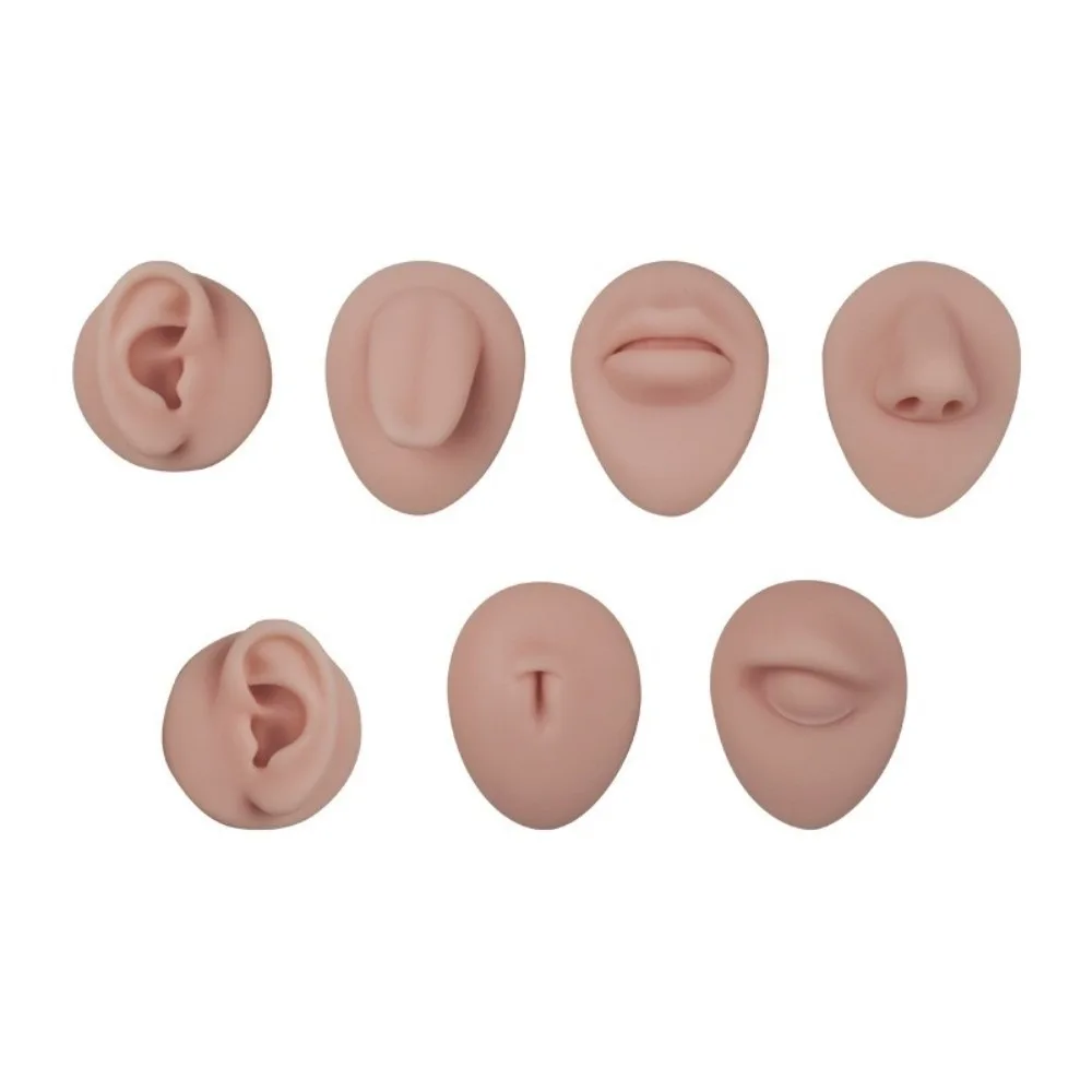 Simulation Design Body Piercing Practice Model Human Face Features Multiple Body Parts Jewelry Display Model Practice Friendly