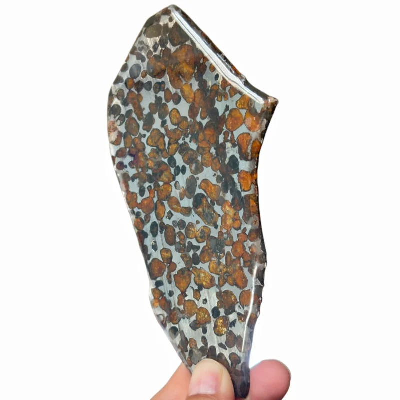 Sericho Pallasite Meteorite Polished Irregular Slice Natural Olivine Grain Space Rock Collectible Ornament QA874