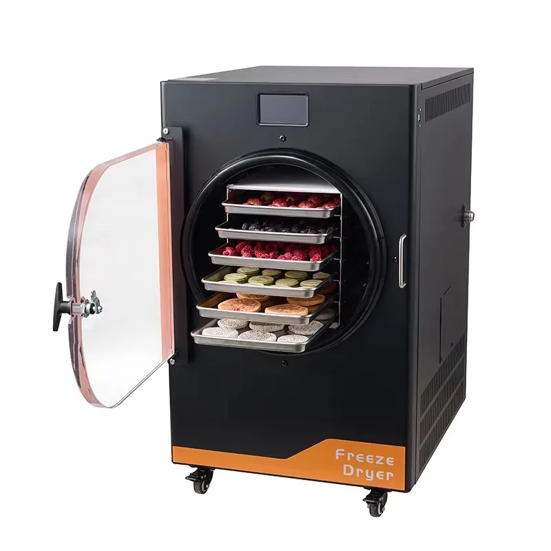Vacuum Freeze Dryer 10KG 6 Trays Stainless Steel Home Commercial Lyophilizer For Food Fruit Snack Freeze Drying Customized