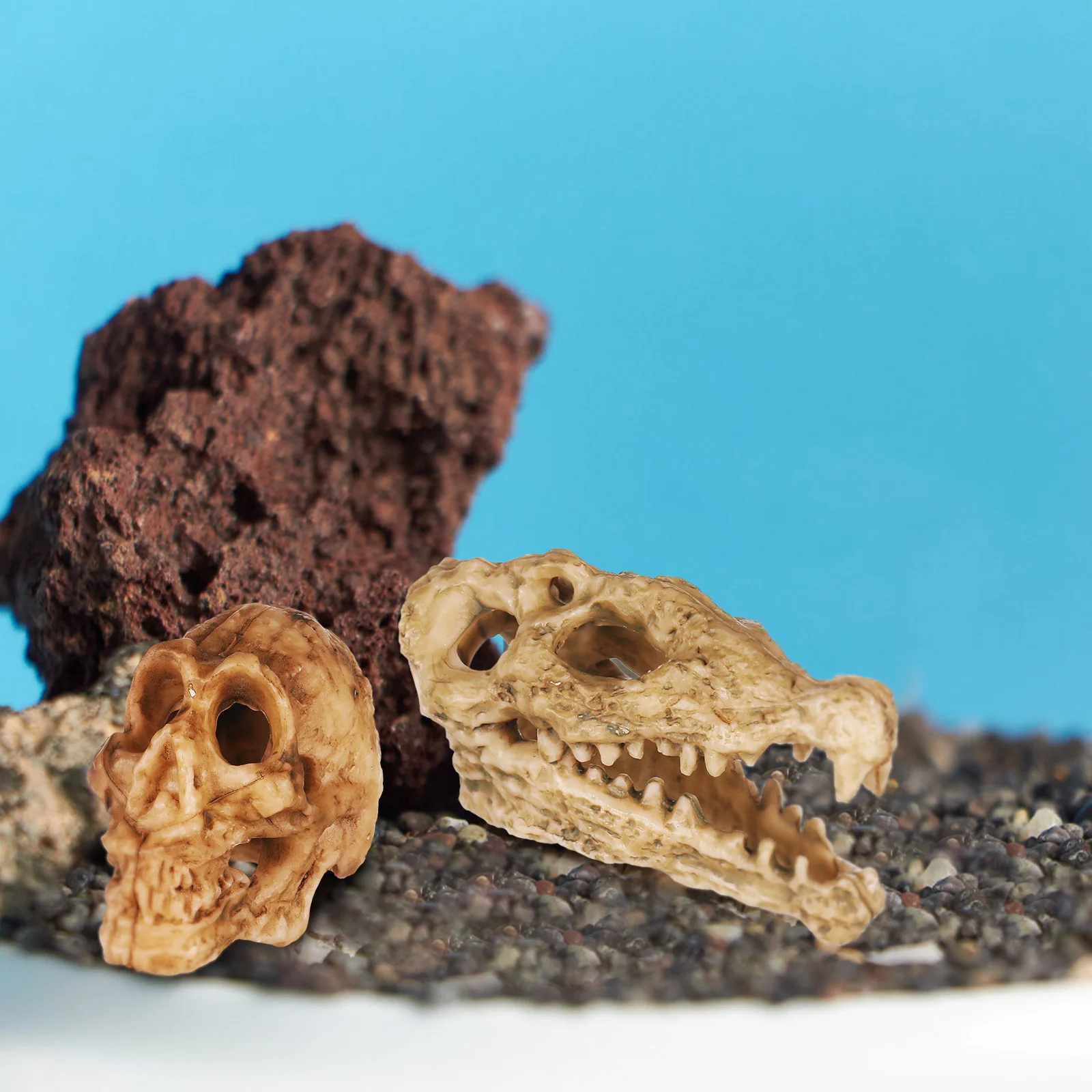 

6Pcs Plastic Animal Skull Decoration Realistic Mini Skull Ornaments Aquarium Home Desktop Decor Skulls for Crafts