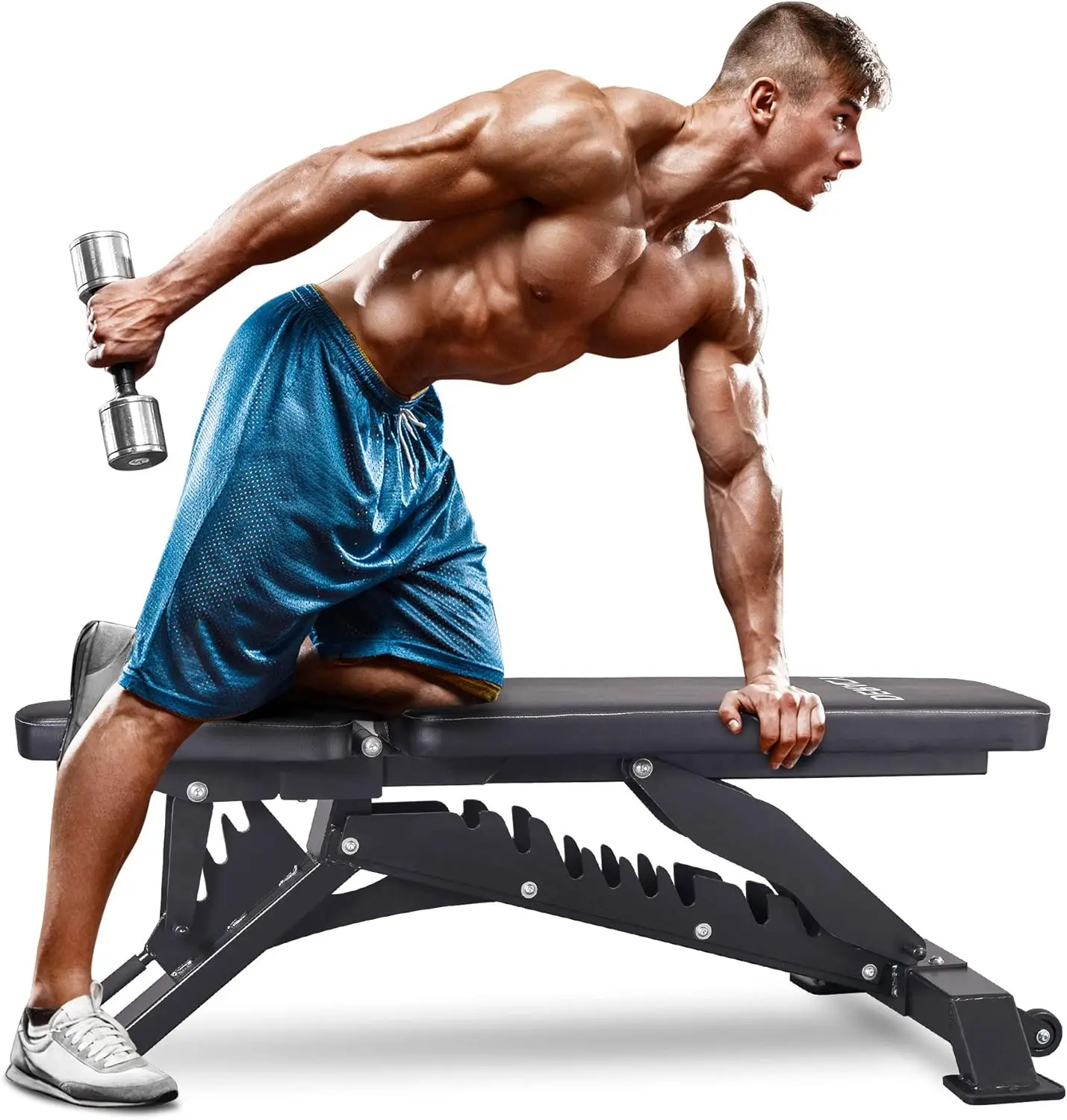 Deluxe Adjustable Weight Bench for Full Body Workout, Weight Capacity 1100 lbs, Incline and Flat Weight Bench for Indoor