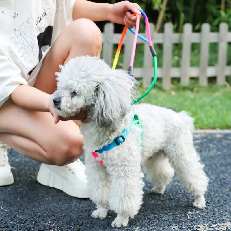 Pet Colorful Round Rope Pet Towing Rope Four Seasons Universal Cat Dog Towing Rope Cat Towing Strap  Pet Accessories