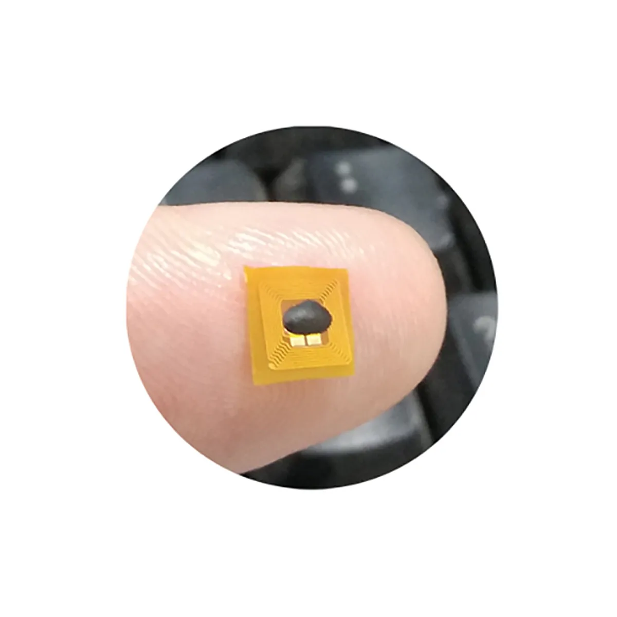 10PCS/20PCS 5MM NFC 213 칩 미니 블루투스 페어링 RFID NFC 태그 스티커 태그 213 프로그래밍 가능한 방지 금속 IC 카드 액세스 제어