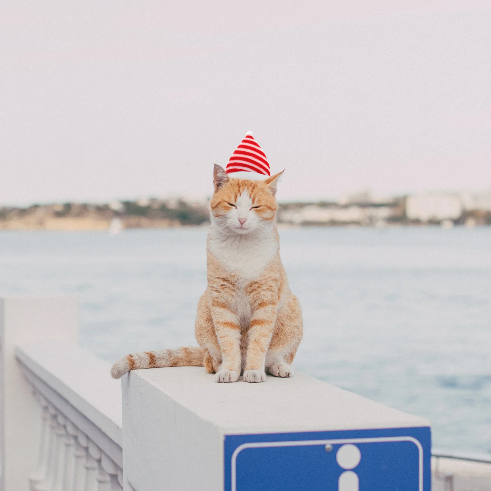 

3Pcs Pet Dog Christmas Headdress Easy to Wear Comfortable Fit for Holiday Celebration Cosplay Photo Shoot Decor