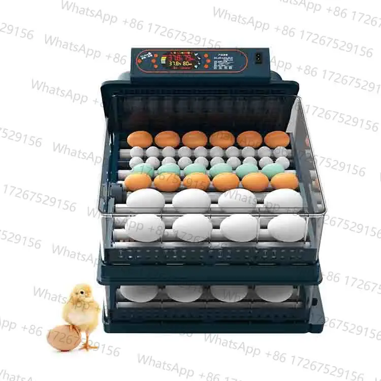 12v /110/220 Automatic Mini Solar 112 Chicken Egg Incubator for Sale