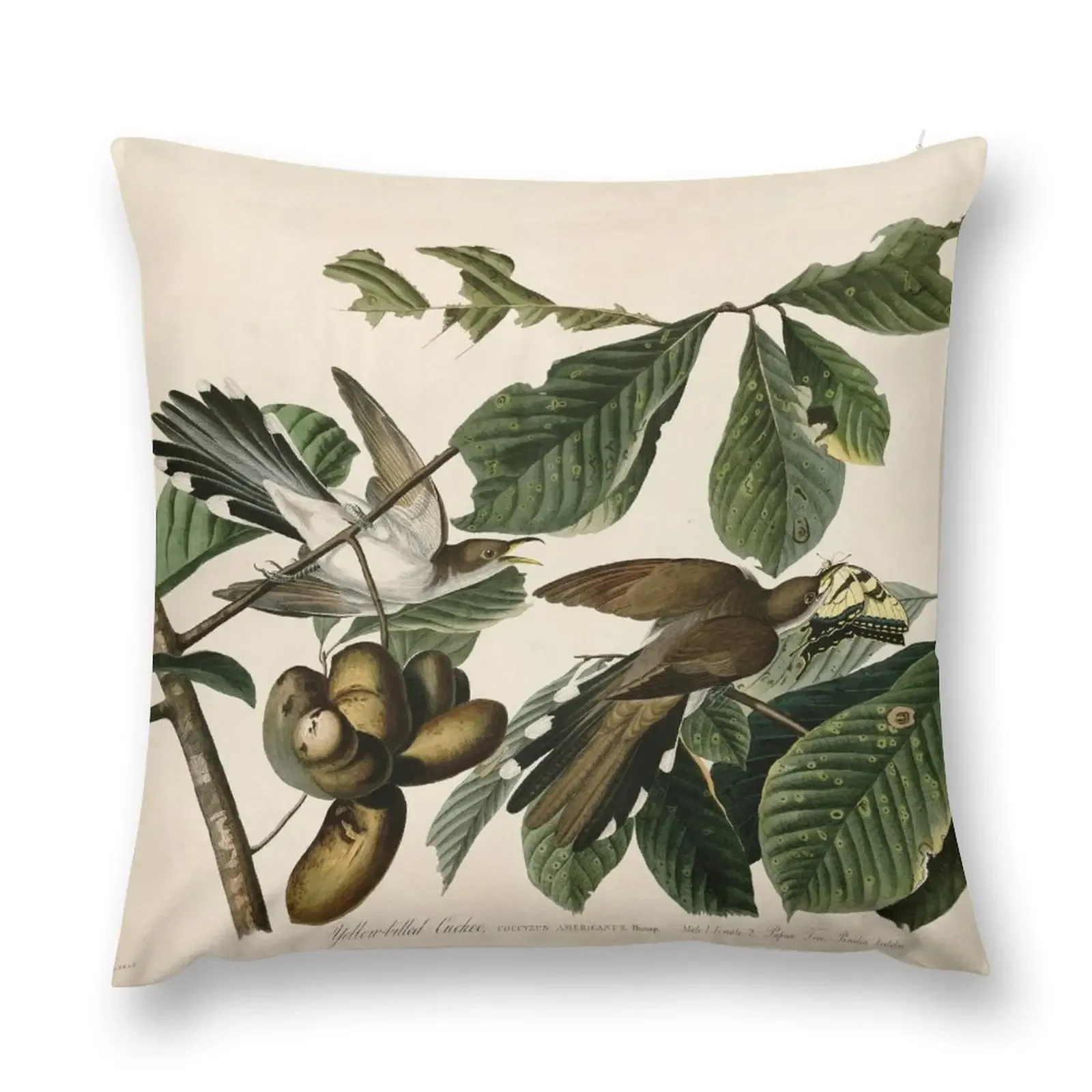 Yellow-billed Cuckoo, Birds of America by John James Audubon Throw Pillow Sofa Pillow Cover Cushion Cover For Sofa pillow