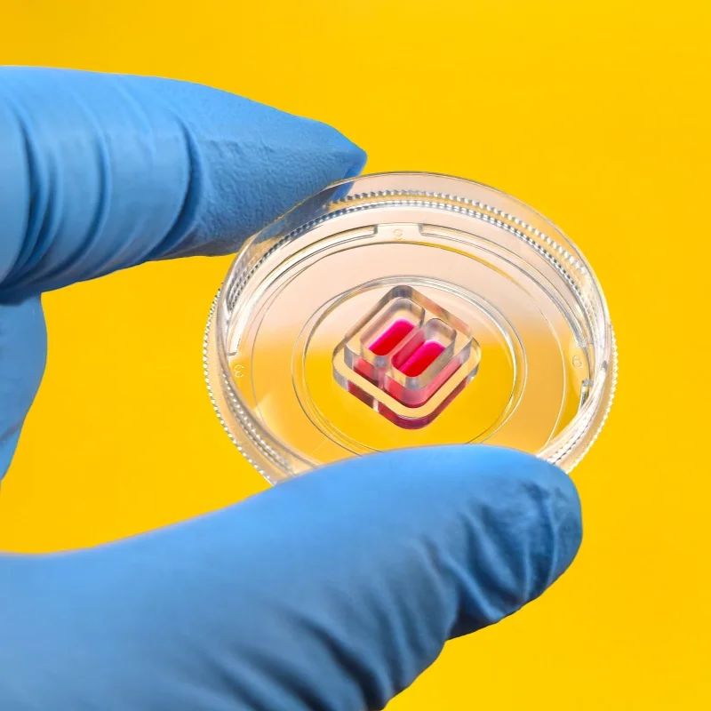 WHB 35mm Cell Scratch Dish Individually Packaged Anti Shake Sterile Laboratory Consumables Bio Science Equipment Tools For Lab