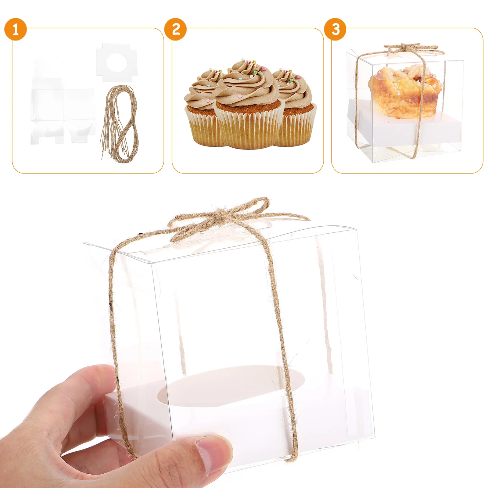 

12 Pcs Cupcake Box Bakery Boxes for Cupcakes with Clear Lids Packing Packaging Transparent
