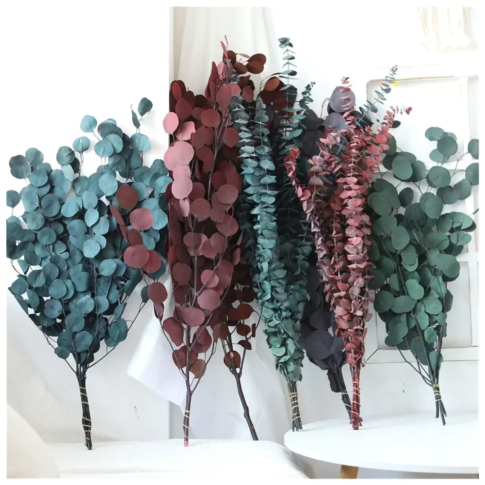 Real Eucalyptus Leaves Branches Dried Natural Fresh Preserved Plants Eternal Green Leaf for Home Wedding Party Decoration