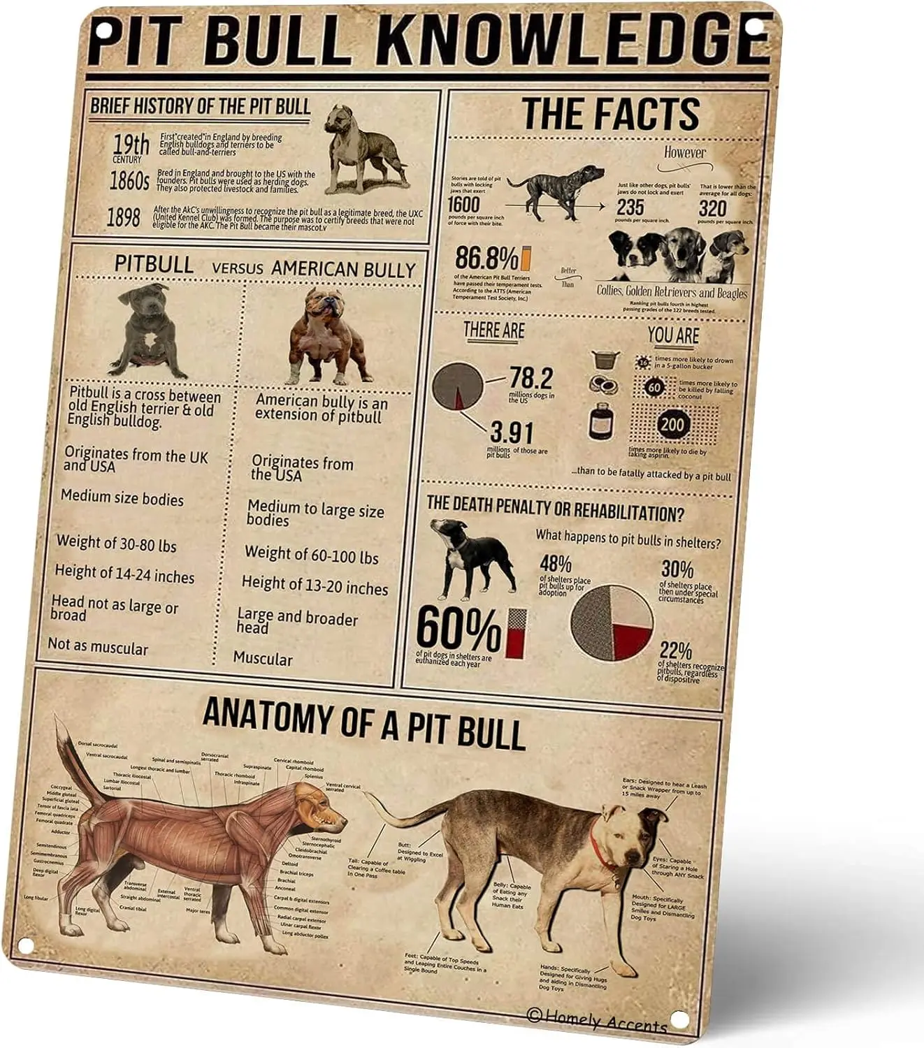 Panneaux métalliques Pit Bull Knowledge, affiche en étain style ferme vintage, art mural rétro pour la maison, la salle de bain, la décoration de club, cadeau
