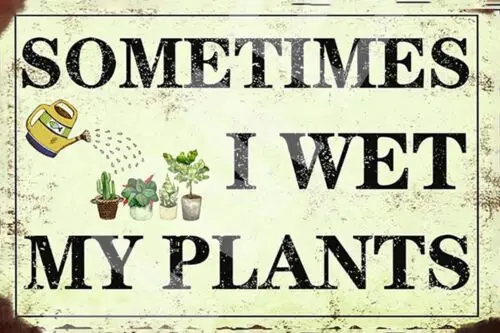 Sometimes I Wet My Plants Funny 8