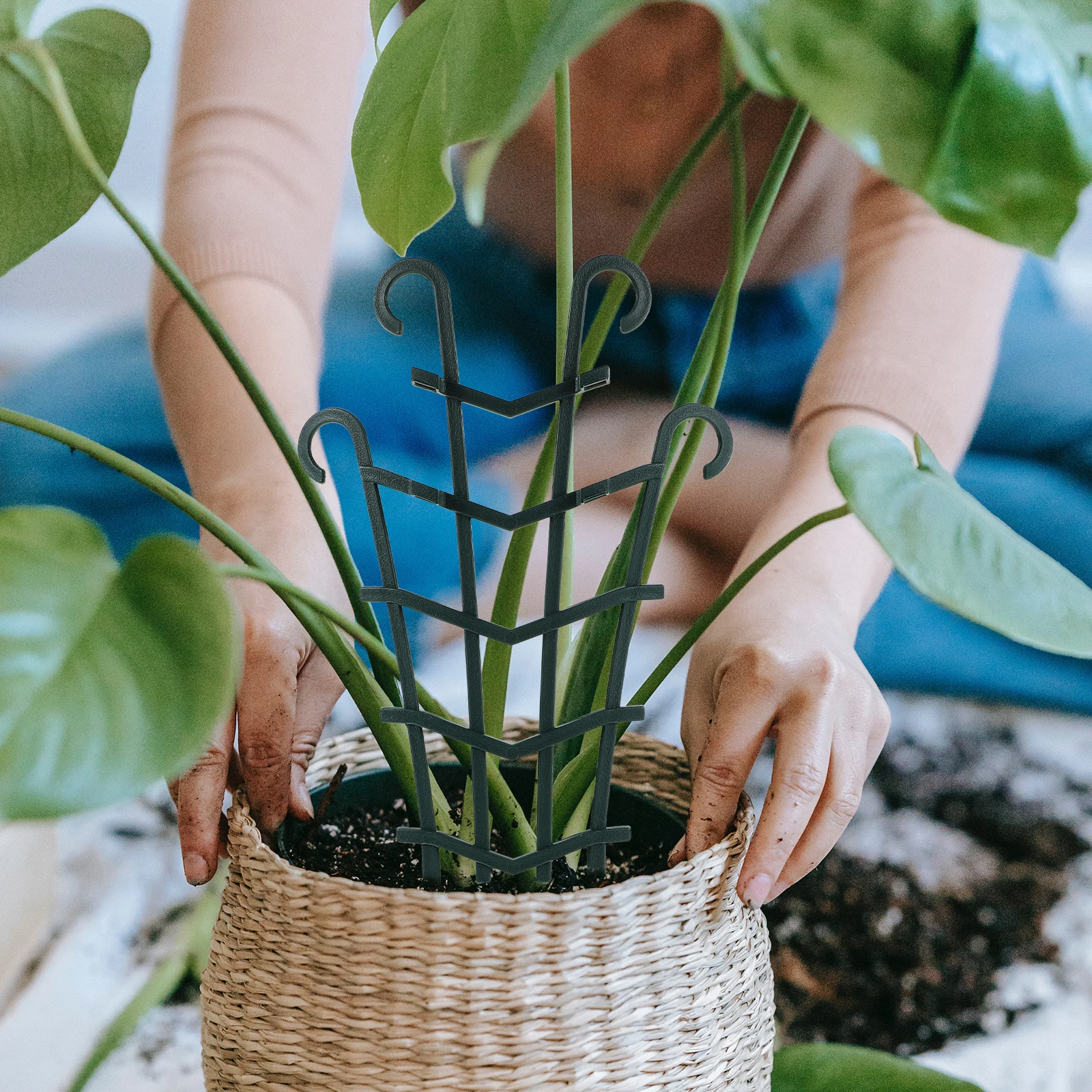 

4pcs Plant Trellis Climbing Frame Support for Potted Plants Strong Durable Gardening Supplies Decoration