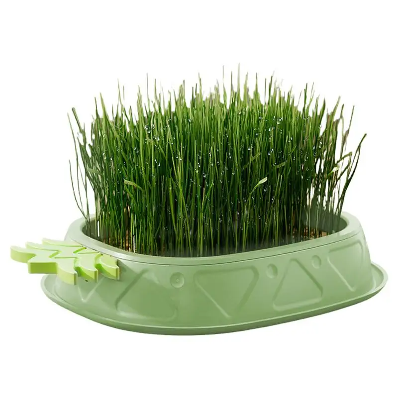 Cat Grass Pot Soilless Culture Growing Kit Pineapple Design Wheat Grass Pot Soil-Free Planting Box Indoor Organic Catgrass