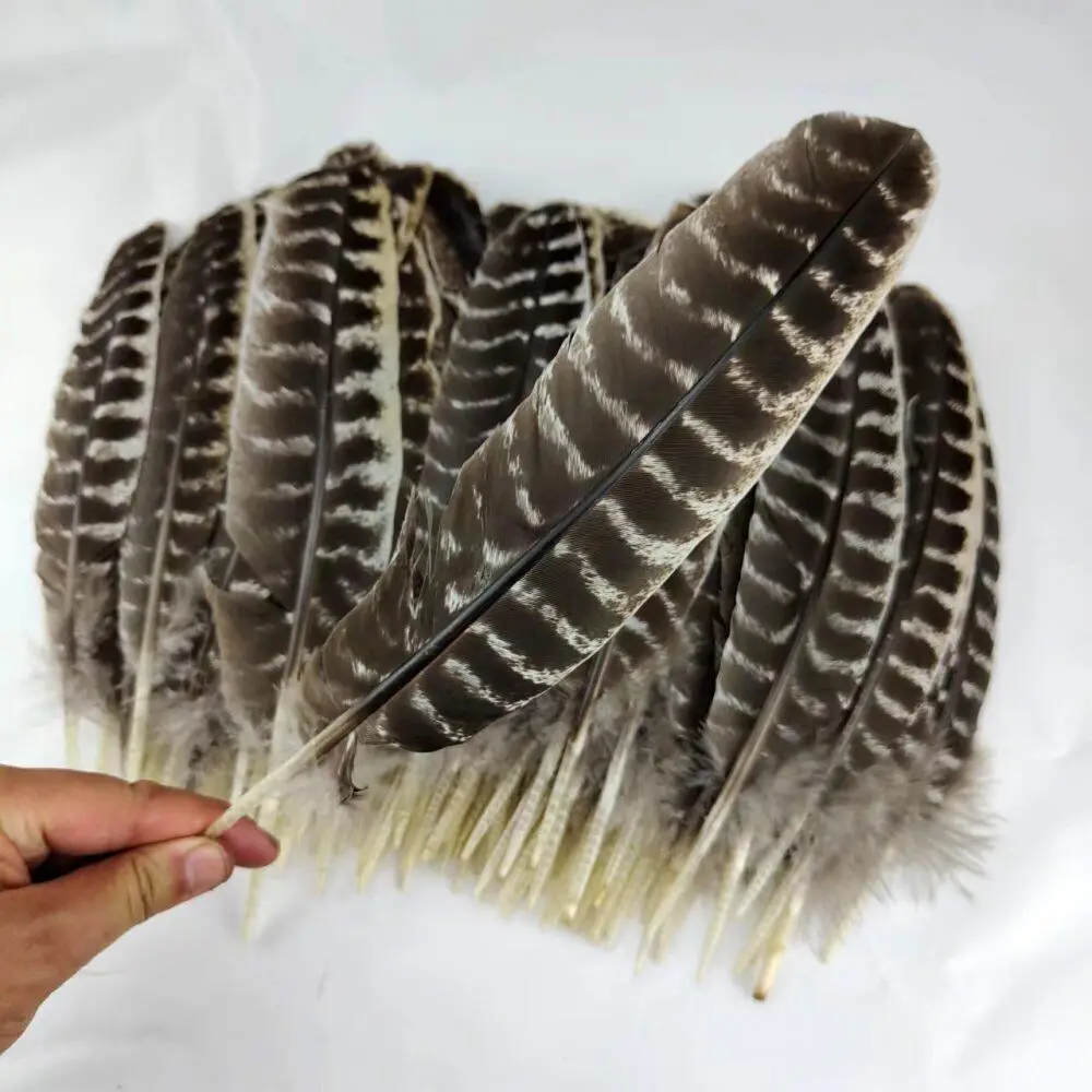 30-33CM/12-13INCH Long Super Quality And Wide 6CM Turkey Wings Feathers