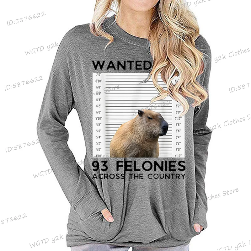 Funny Capybaras Cartoon Long Sleeve T-shirt Capybara Wanted for 93 Felonies Graphic T Shirts Women Cute Animal Lover Gift Shirt