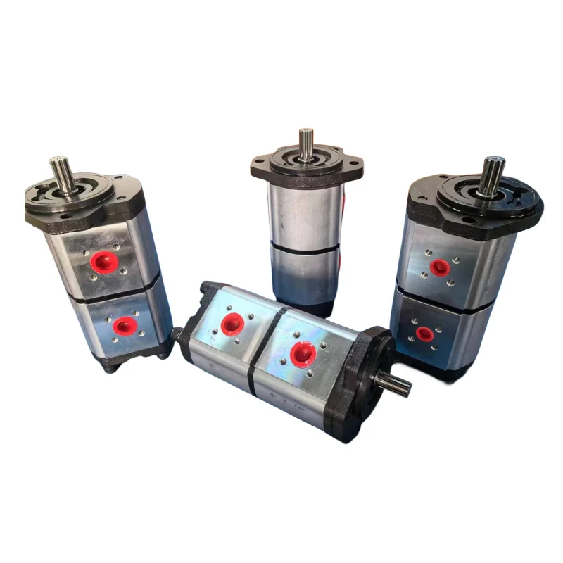 

TengFeiZhenYuan Hydraulic Pump AZPFF AZPF AZPFG AZPFB Series AZPFF-11-008/ 004RAB0101 High Pressure Hydraulic Double Gear Pump