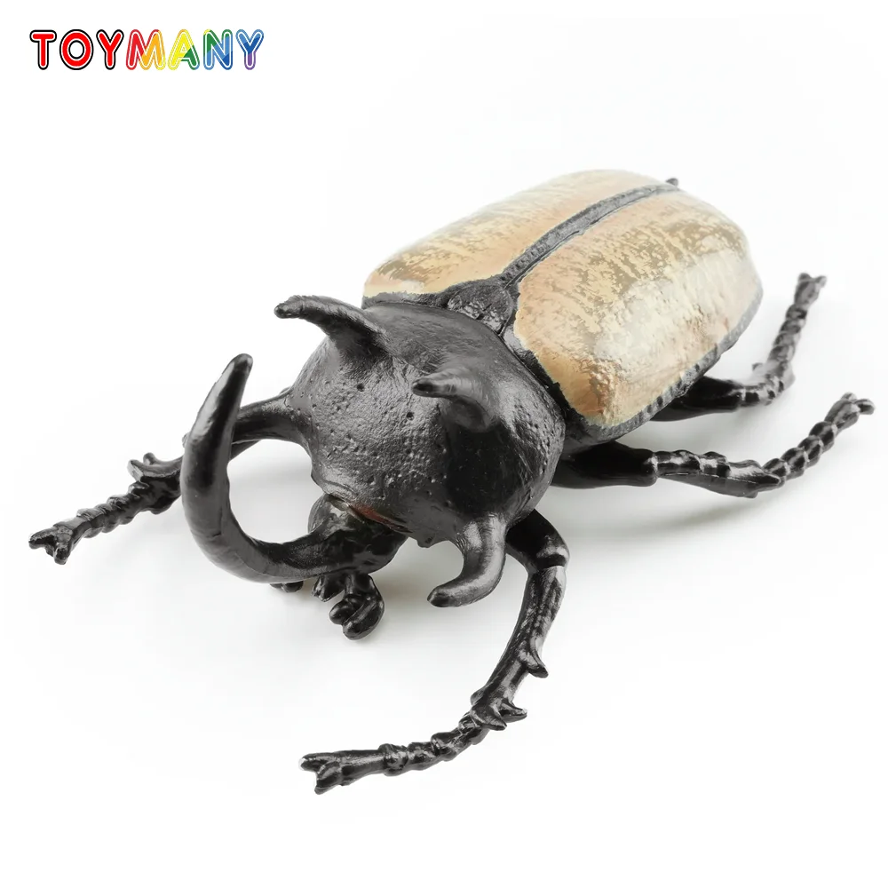 Toymany Simulation Insect& Five-horned Rhinoceros Beetle Animal Model Toy Mini Figures Dolls Action Figurines Toys Children Gift
