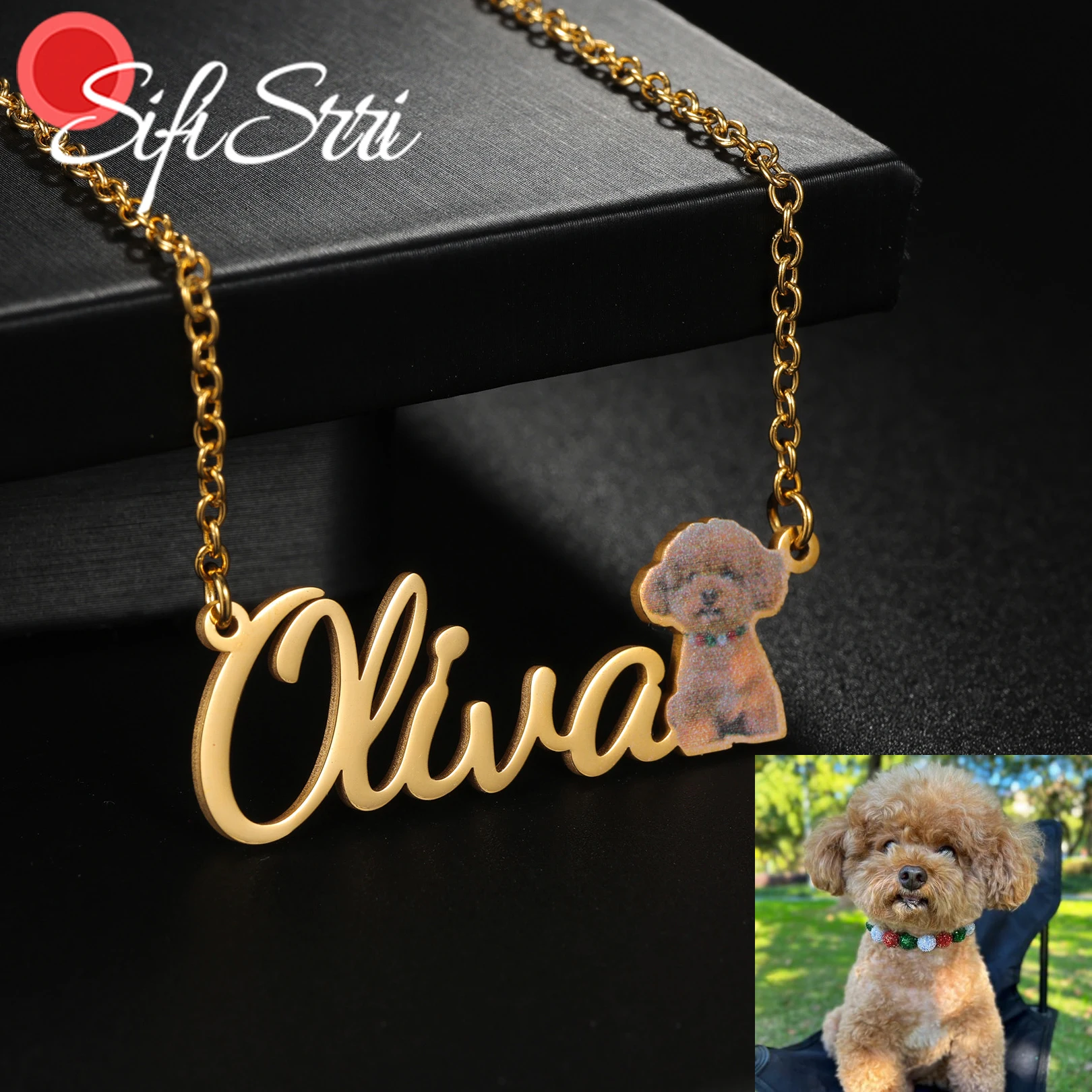 

Sifisrri Custom Pet Photo Name Necklace for Women Dog Picture Stainless Steel Jewelry Choker Chain Personalized Christmas Gift