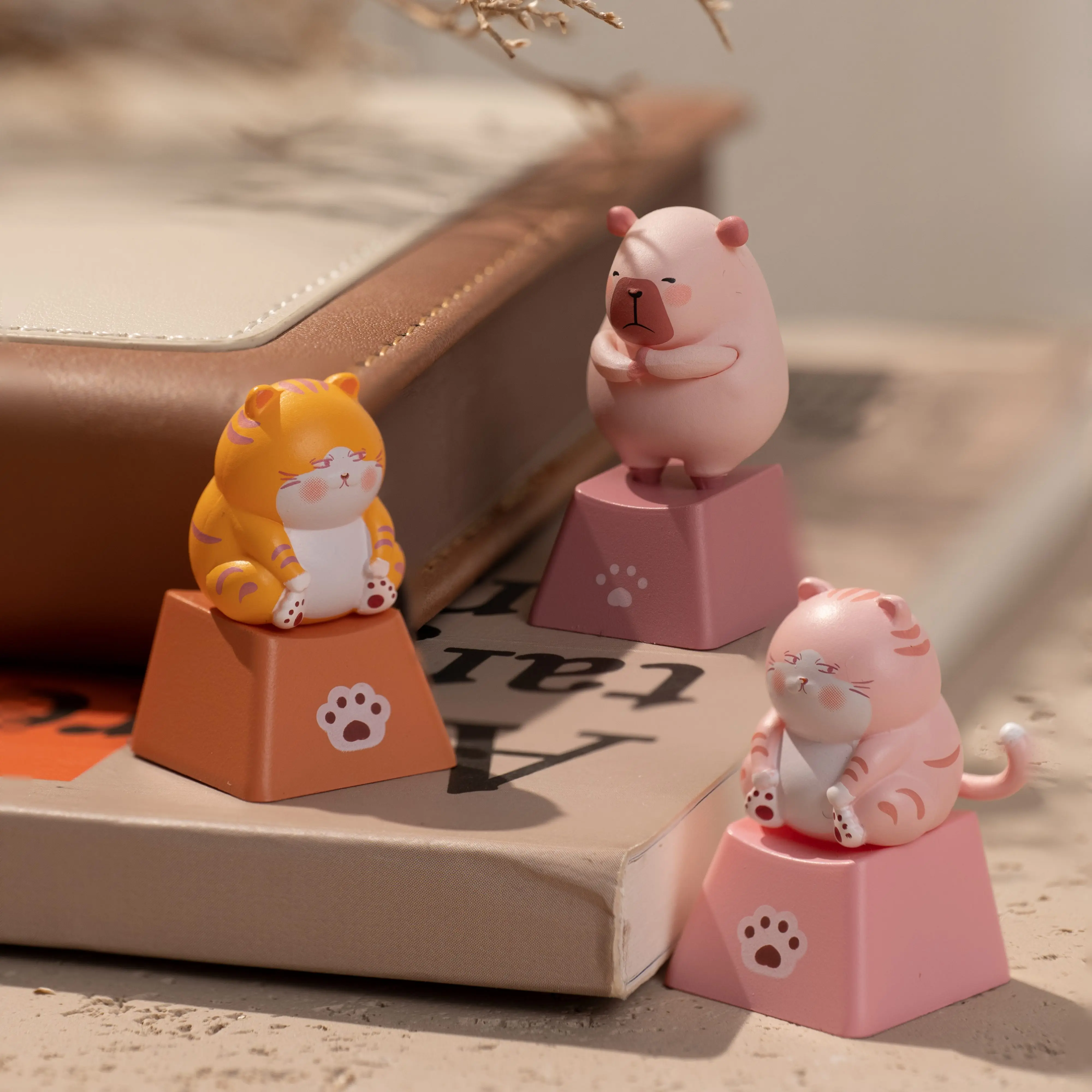 Akko Keycap Switch Tester Set for Cherry MX Mechanical Keyboard Decorative Personality Three-dimensional Keycap Kawaii Gift 9pcs