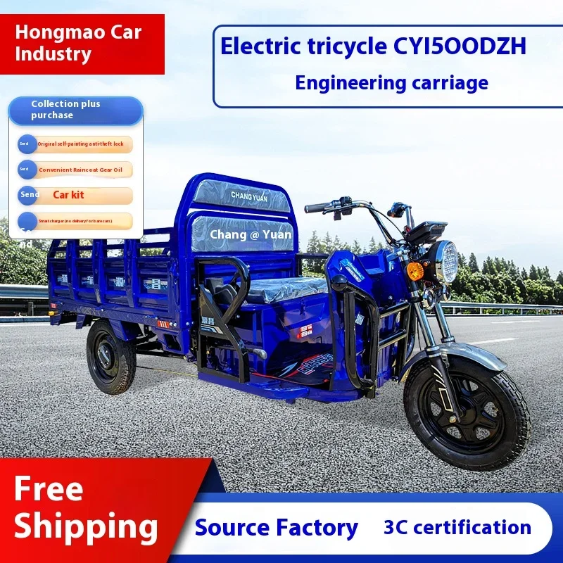 Supplier 20km/h Tricycle Electric Cargo Trike 3 Wheel Electric Tricycle China Shanghai 60V 1000w Lifan 250cc Motorcycle Eec Open