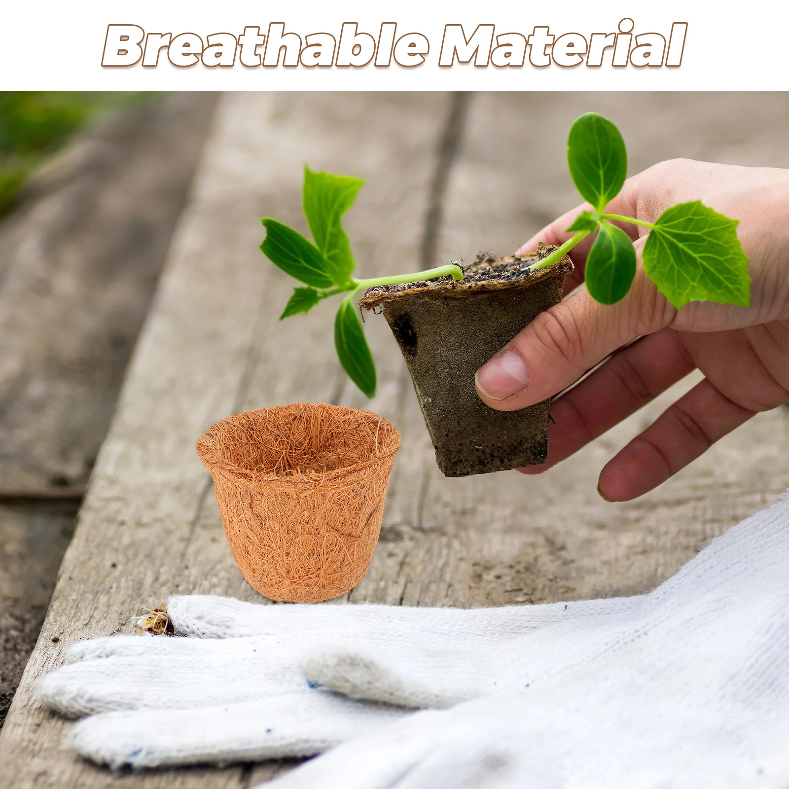 12Pcs Coconut Coir Planter Liner Natural Biodegradable Pot for Succulents Air Circulation Root Growth Small Plant Container