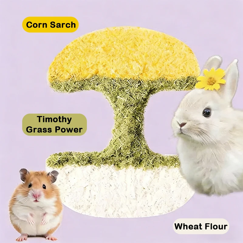 Thumbnail 3 - #22 Best Hamster Exercise Wheels to Buy In 2026
