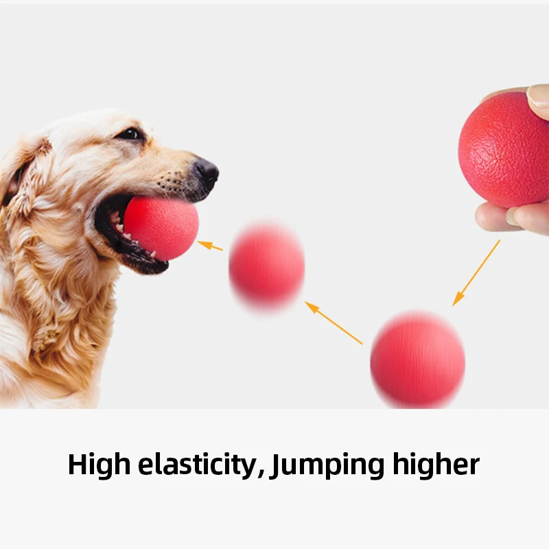 

Dog Toy Bouncy Ball Bite Resistant Rubber Balls Chewing Toys Outdoor Throwing Retrieve Dogs Interactive Training Pets Supplies