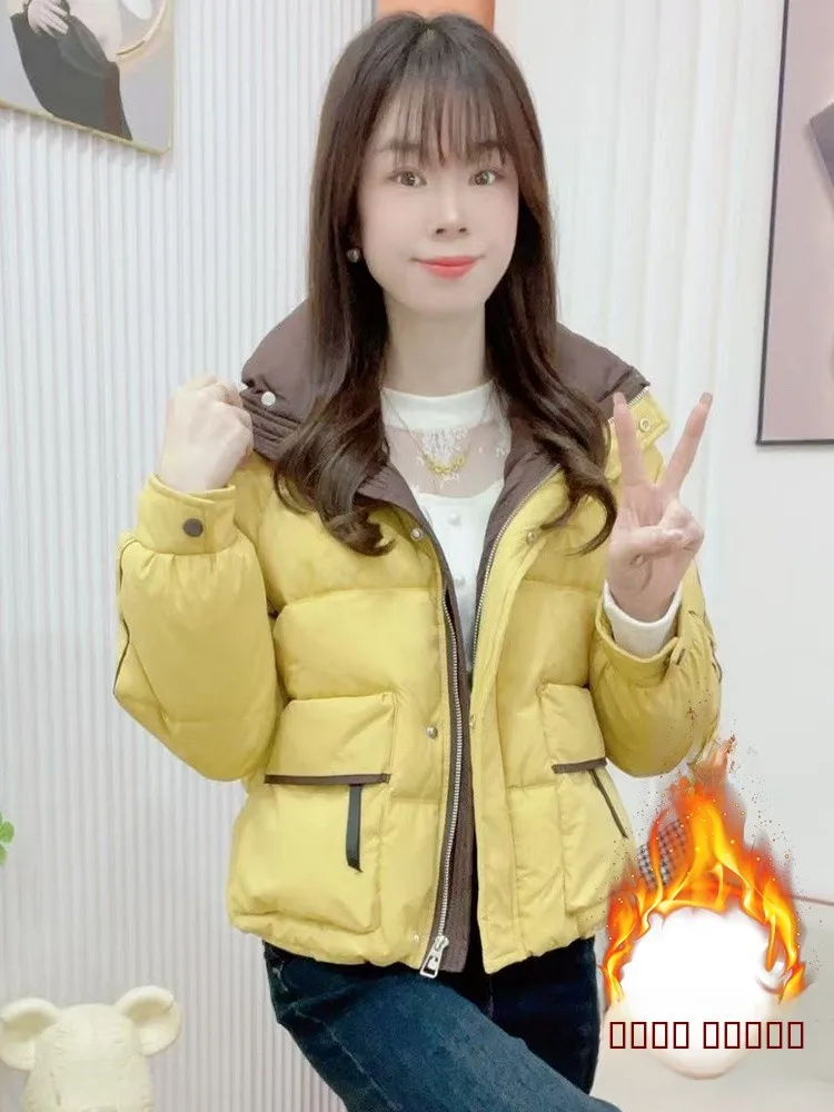 

Женская зимняя куртка из утепленного хлопка с подкладкой, воротником-стойкой, приталенная, в корейском стиле, для повседневной носки