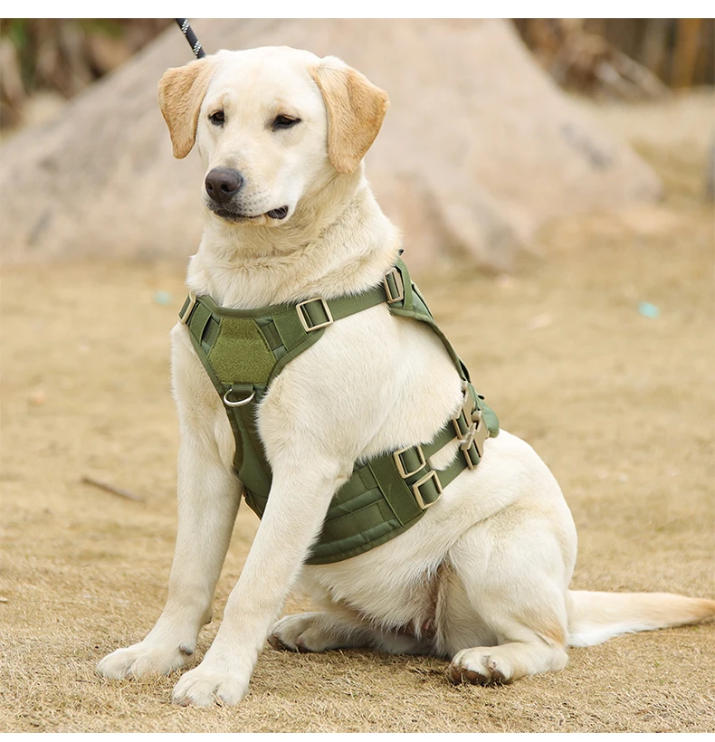 Imagem -02 - Pet Arnês e Trela Conjunto Fivela de Metal Grande Dog Vest Pastor Alemão Arnês Durável do Cão para Pequenos Cães Grandes Formação