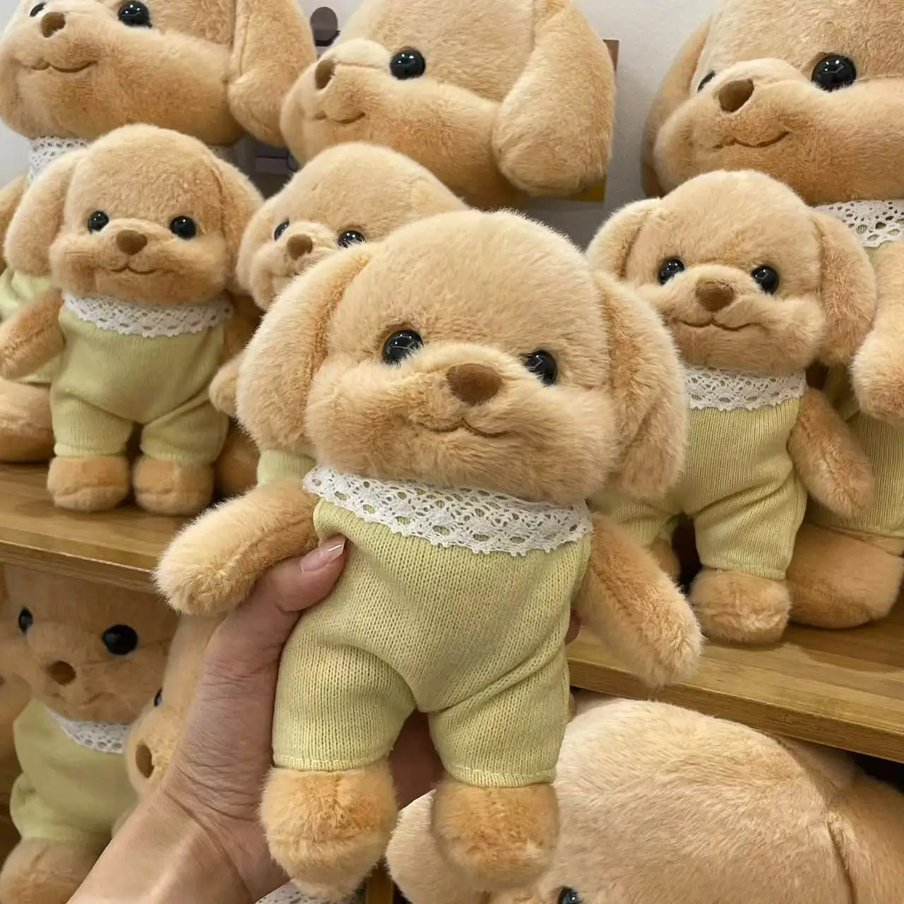 30CM gorąca MINISO Senbei lalka pluszowe nadziewane śliczny pudel laleczka bobas Kawaii szczeniak prezent urodzinowy dla dzieci dziewczyna lalka towarzysząca