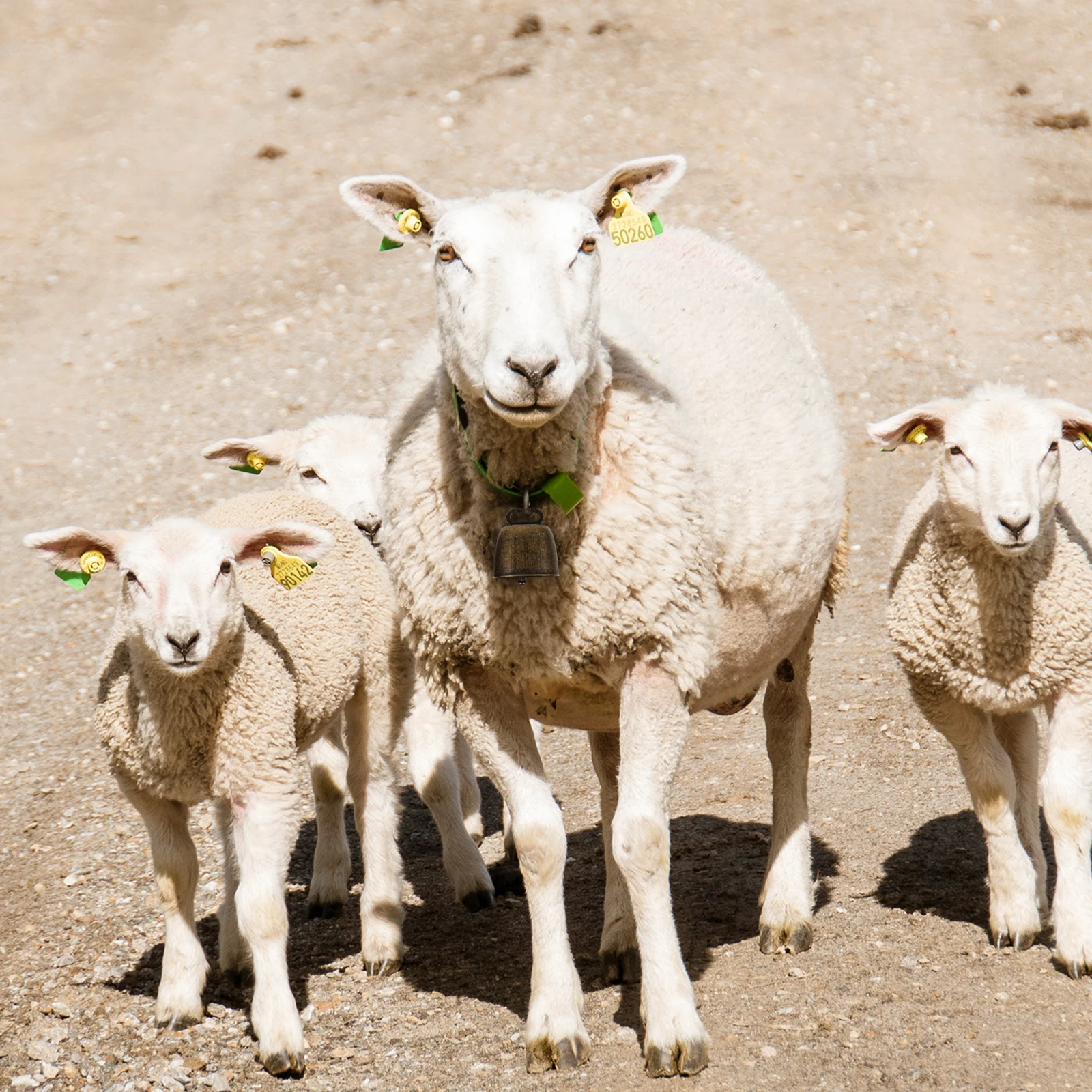 

10pcs Retro Pet Bells Iron Cattle Bells For Dog Cat Collar Decoration Farming Accessories Vintage Style Small Size Durable Gift