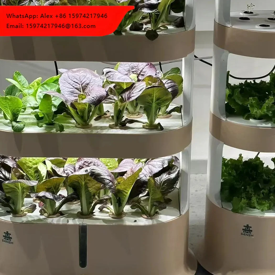 China Factory Greenhouse Indoor Soilless Planting Frame Vegetable Hydroponic System