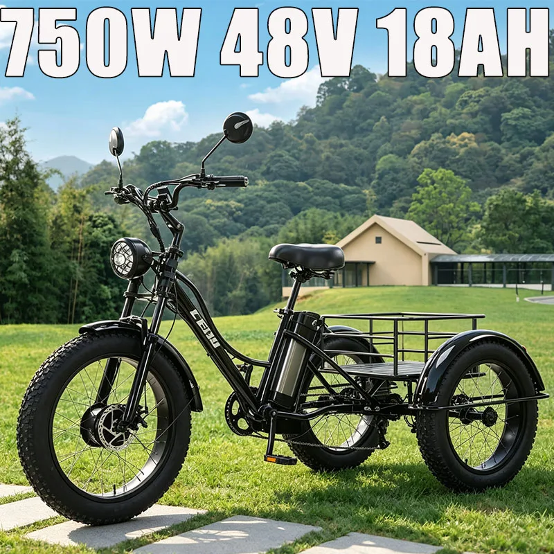 Adult Three Wheel Off-Road Cargo E-Bike 24 Inch Wide Fat Tyres Mountain E-Trike 750W 48V 18AH Removable Portable Lithium Battery