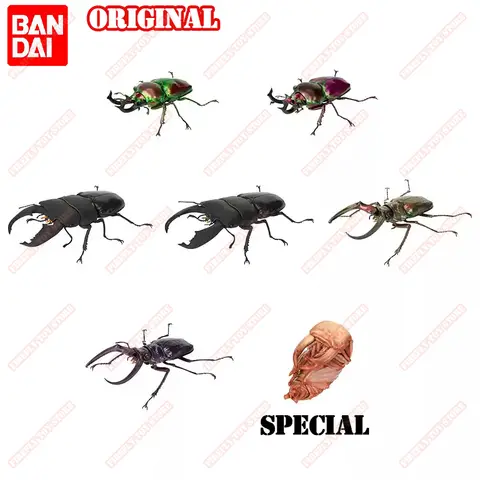 BANDAI Original Toys Ikemono Taisyou ADVANCE Stag beetle Gacha Lucky Draw Anime Action Model Figures Collection